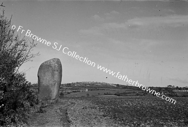 STANDING STONE NEAR PP'S HOUSE